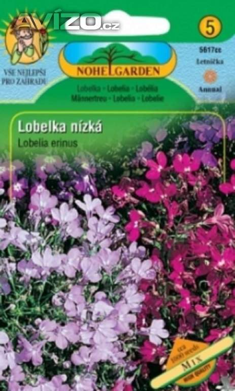 Lobelka drobná nízká, směs (semena) levna-semena.cz