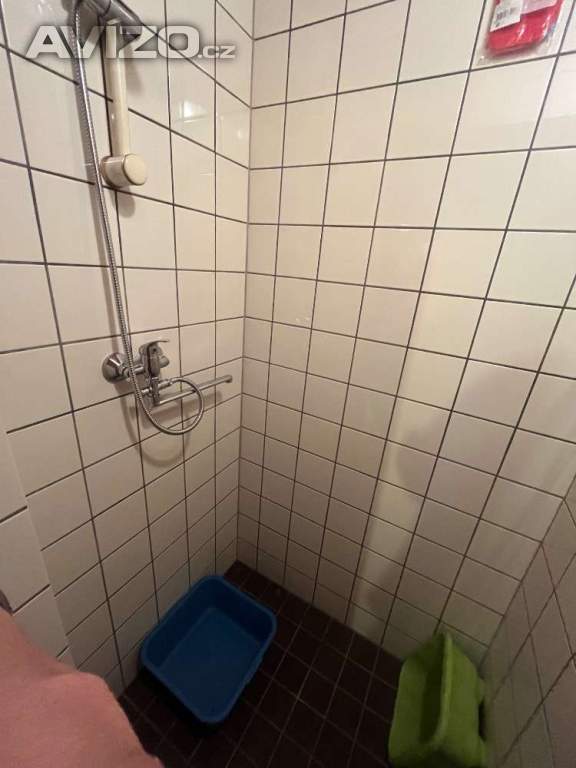 Foto inzerátu Prodej chaty v Dolním Těrlicku
