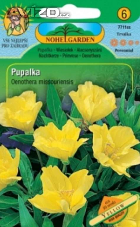Pupalka missourská, žlutá (semena) levna-semena.cz