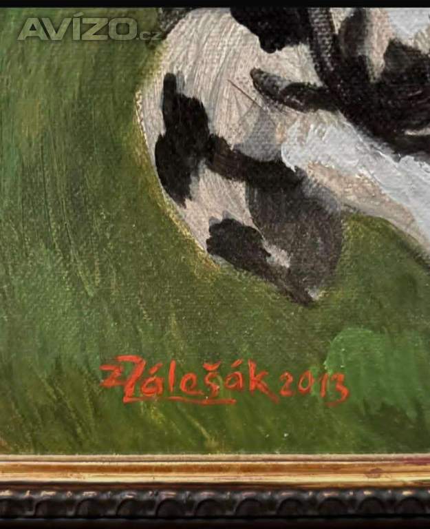Foto inzerátu Olejomalba