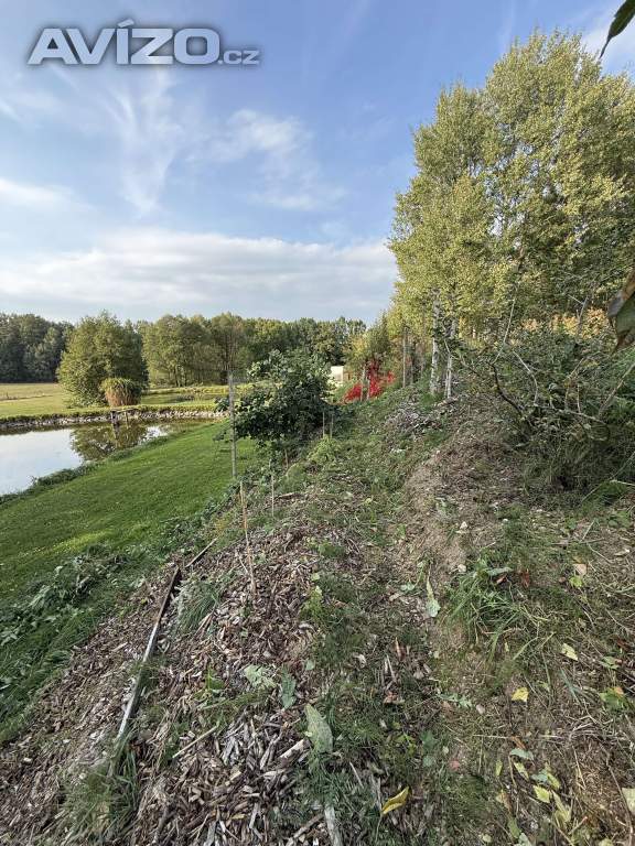 Foto inzerátu Darujte keře, získejte pobyt