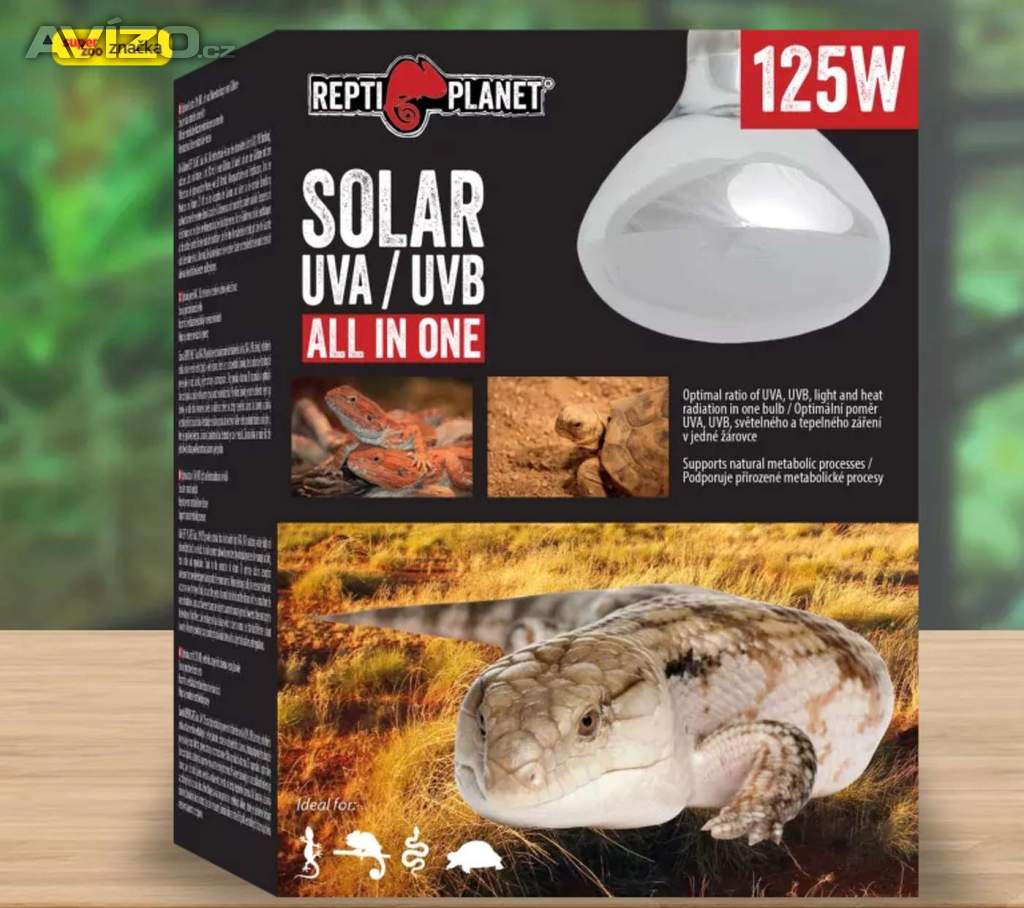 Foto inzerátu Terárium Repti Planet skl 50,5x30,5x25cm (starovací sada)