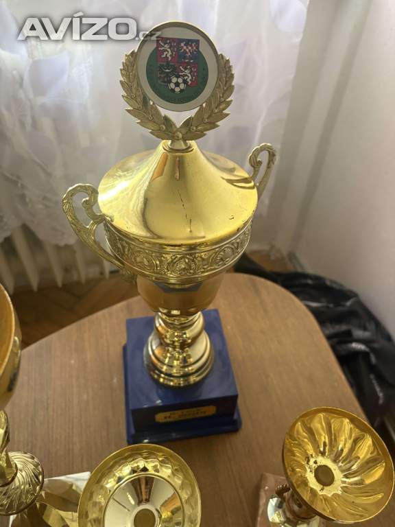 Foto inzerátu Sbirka trofeji