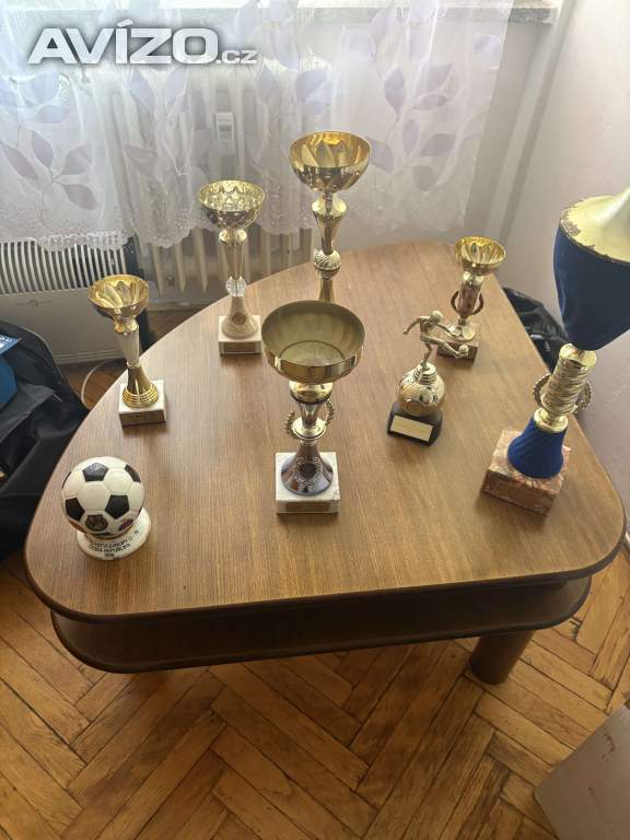Foto inzerátu Sbirka trofeji