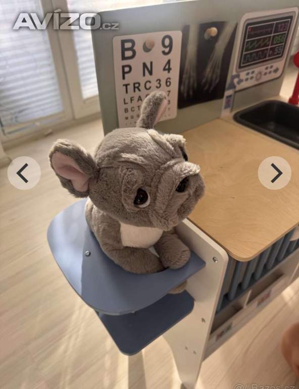 Foto inzerátu Dětská veterinární klinika