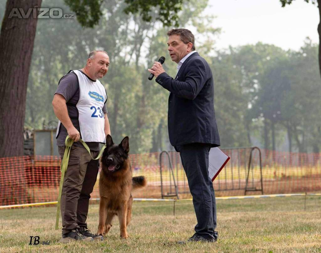 Foto inzerátu Německý ovčák - štěňátka s PP