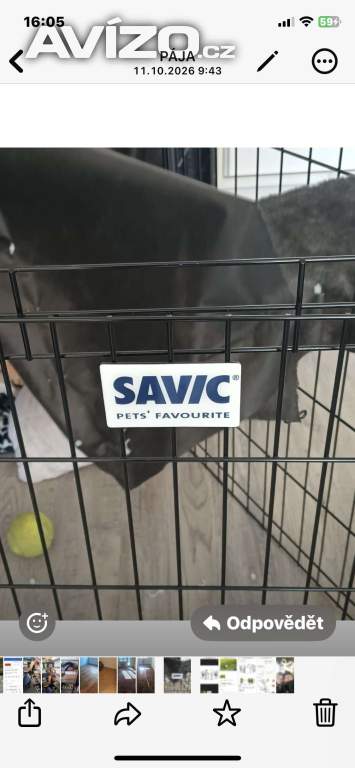 Foto inzerátu Klec pro psa
