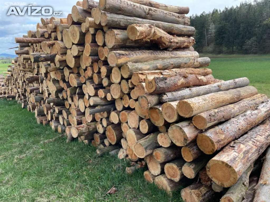 Foto inzerátu Dřevo  tvrdé měkké 