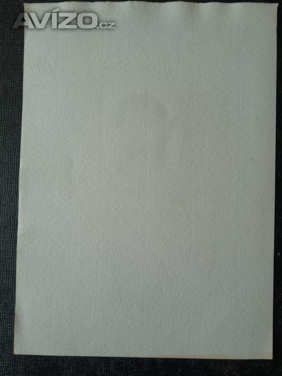 Foto inzerátu Jindra Schmidt - autoportrét, grafický list, ocelorytina 