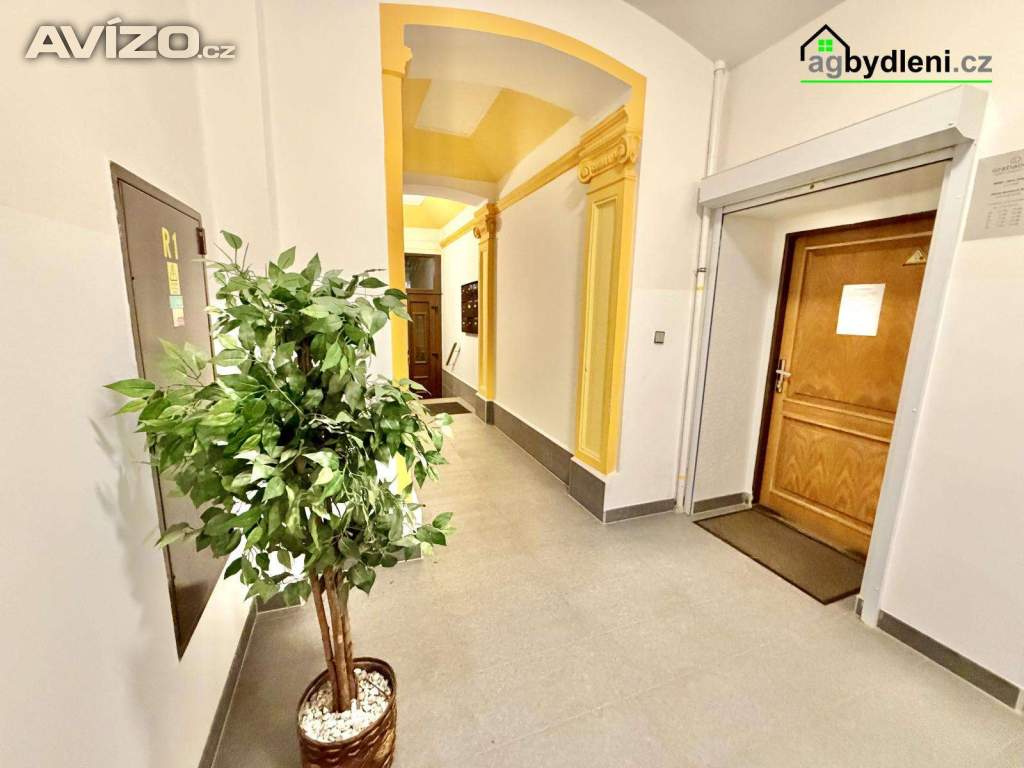 Foto inzerátu pronájem dentální hygiena