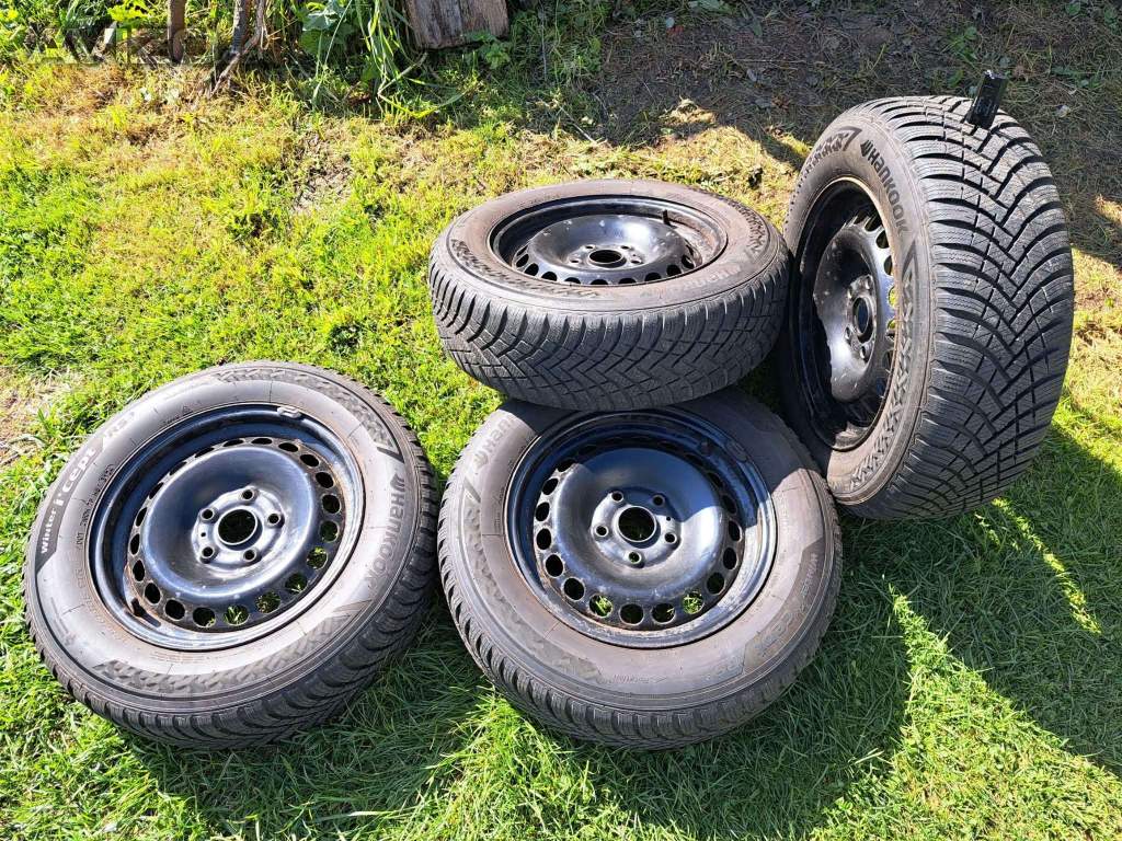 Zimní pneu Hankook Winter I*cept RS3 195/65 R15
