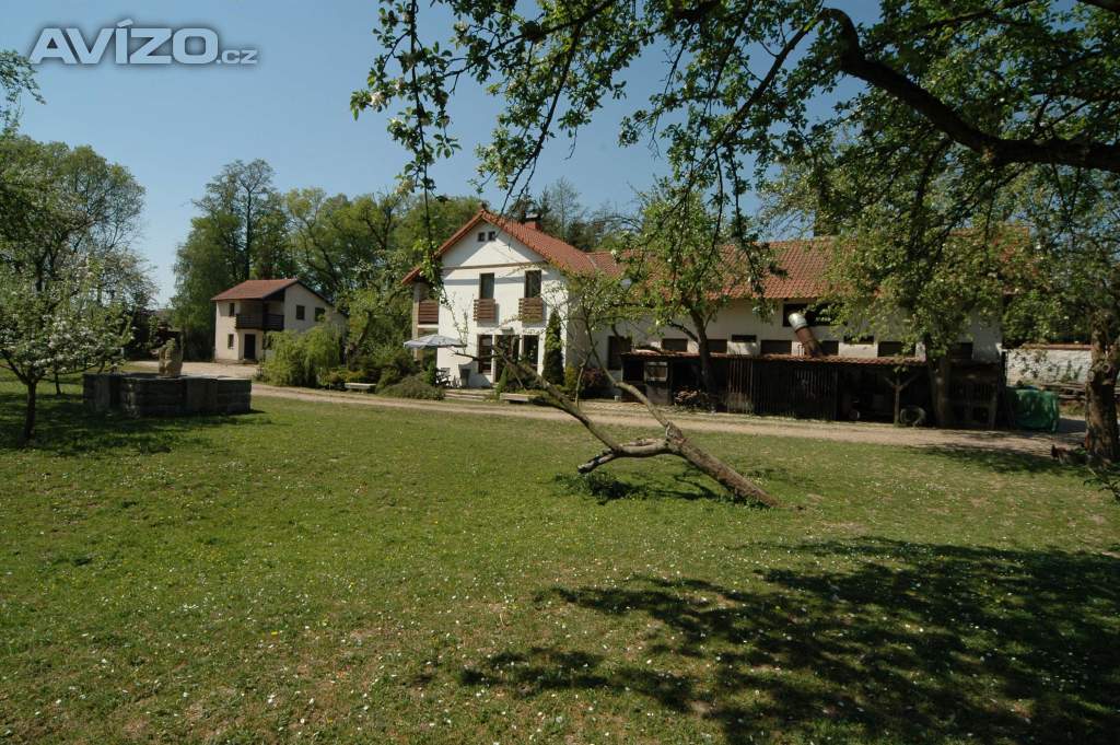 Asistentka, hospodyně a práce u koní + Ošetřovatel, zemědělský dělník, jezdec, stájník