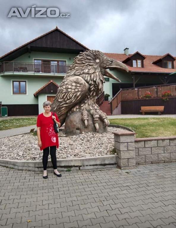 Hledám muže 