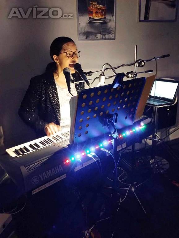 Foto inzerátu Živá hudba/Dj na svatbu, oslavu, večírek