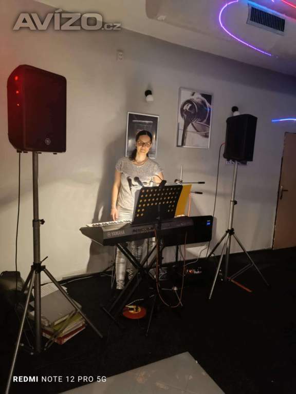 Foto inzerátu Živá hudba/Dj na svatbu, oslavu, večírek