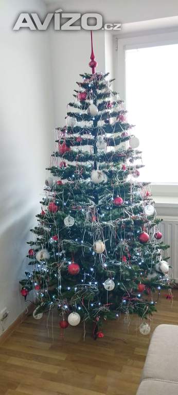 Foto inzerátu Vánoční stromeček 190cm vysoký