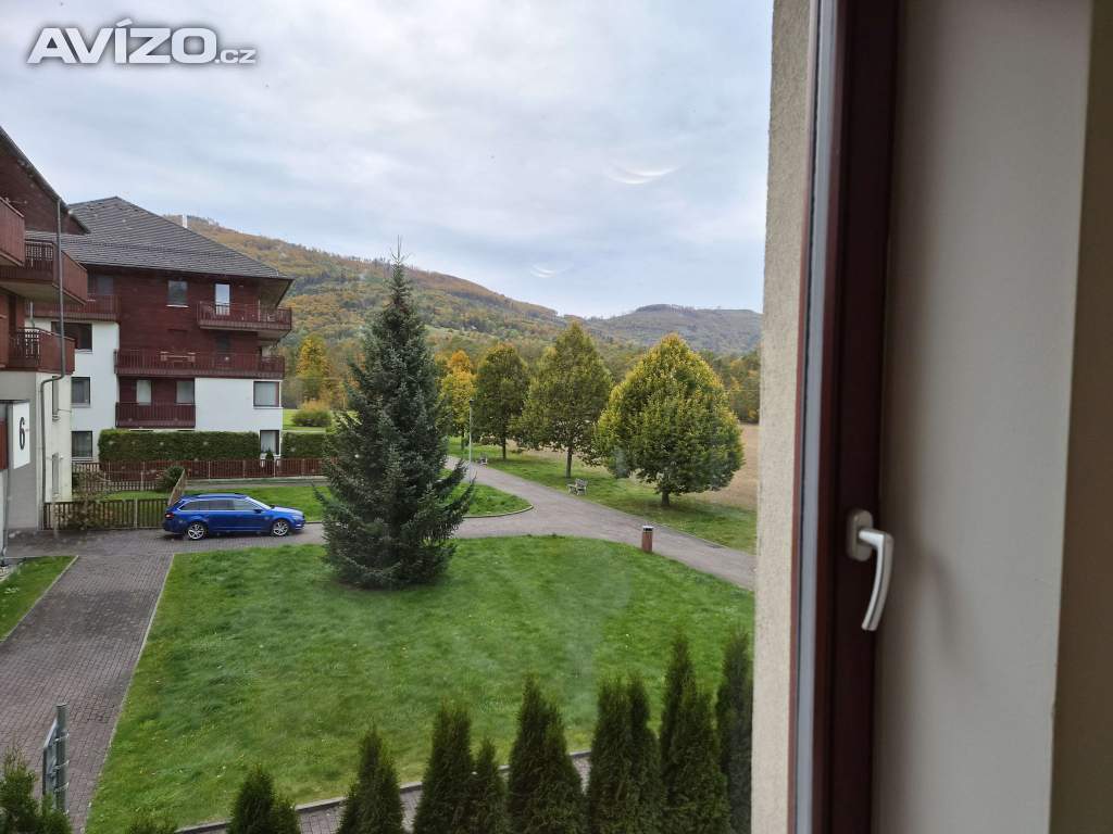 Foto inzerátu Pronájem bytu