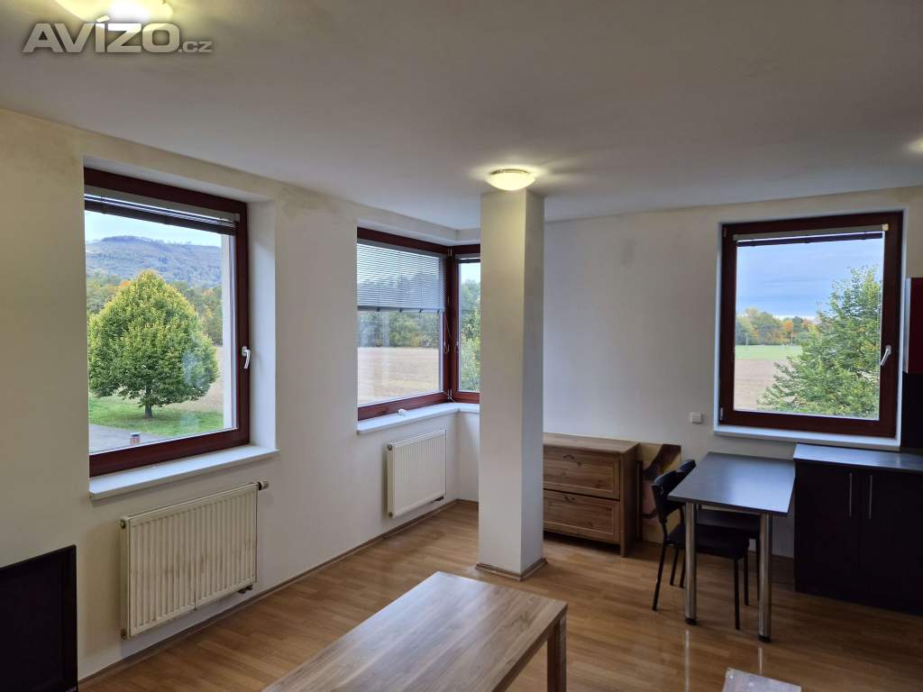 Foto inzerátu Pronájem bytu
