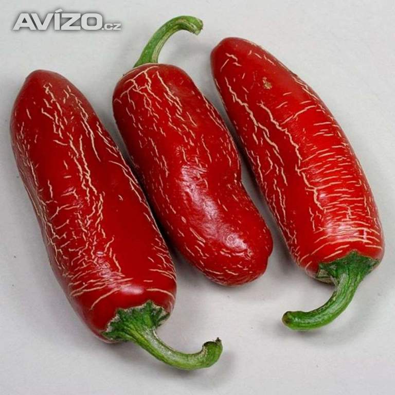 Sazenice Chilli Numex Vaquero Jalapeňo
