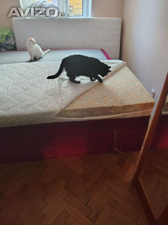 Prodám - 