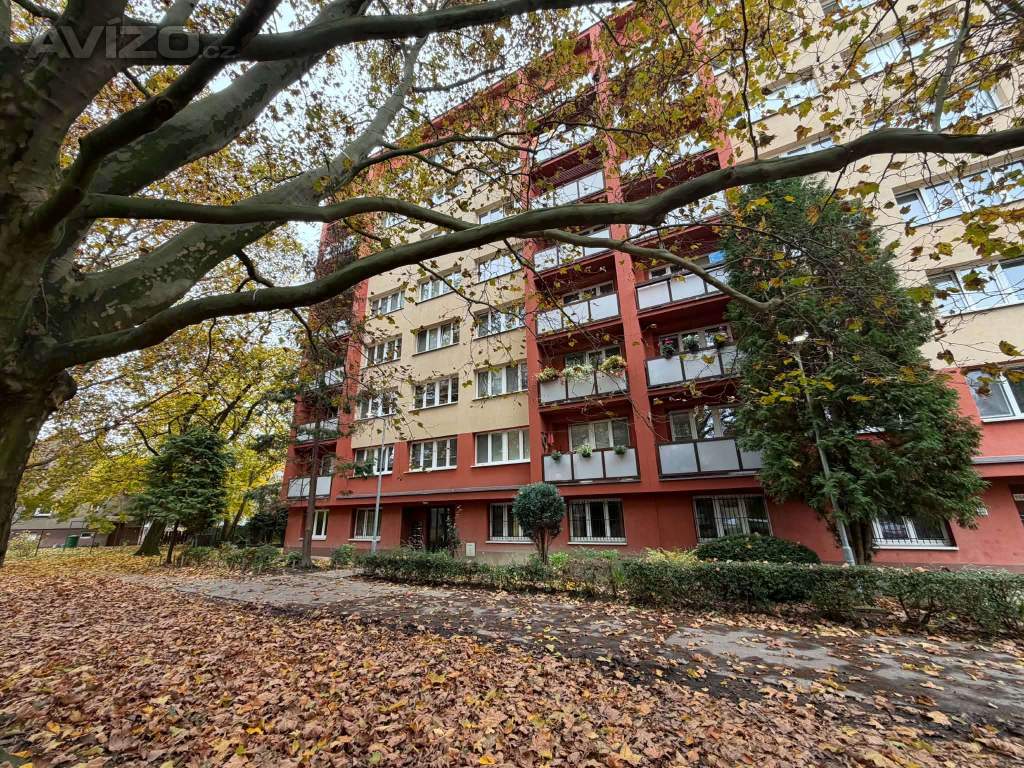 Bezbariérový 3+1 60m2 - komora - nájem 9.304,- Hrabůvka 