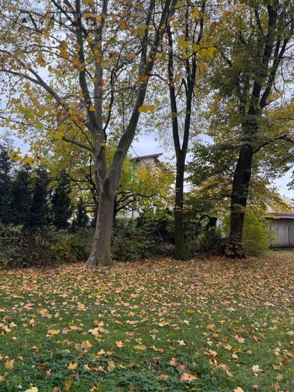 Foto inzerátu Bezbariérový 3+1 60m2 - komora - nájem 9.304,- Hrabůvka 