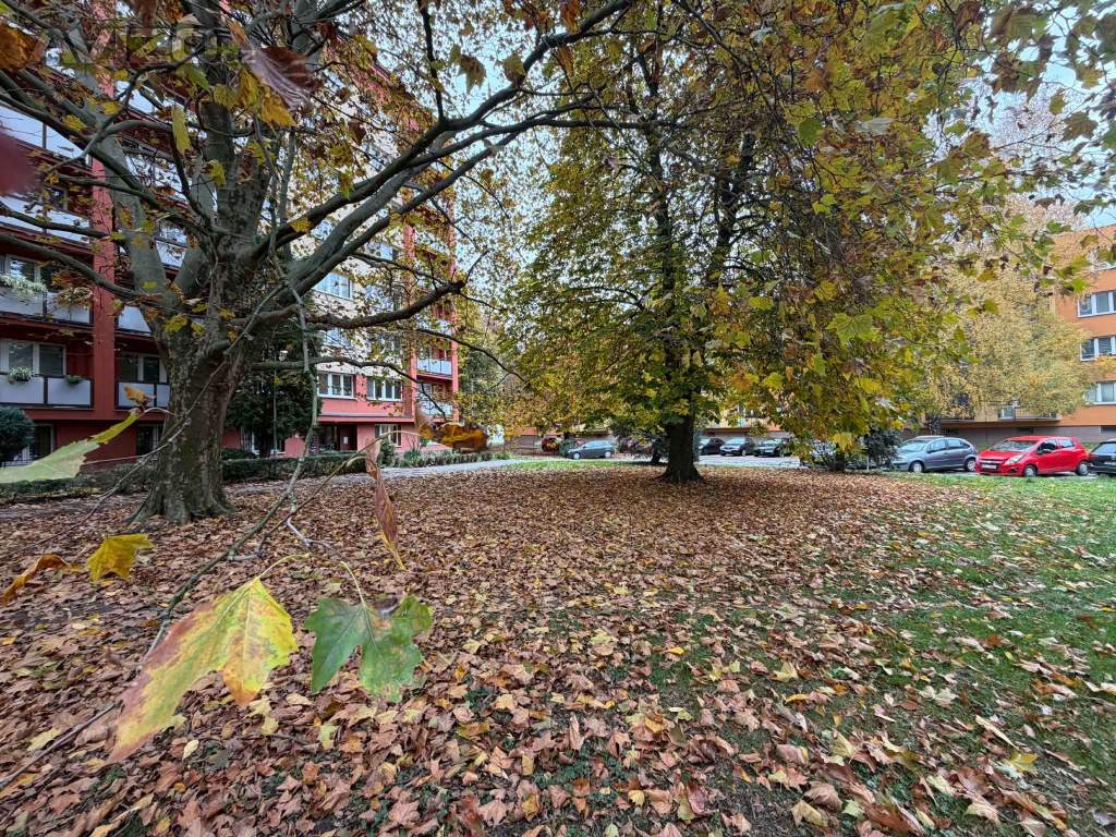 Foto inzerátu Bezbariérový 3+1 60m2 - komora - nájem 9.304,- Hrabůvka 