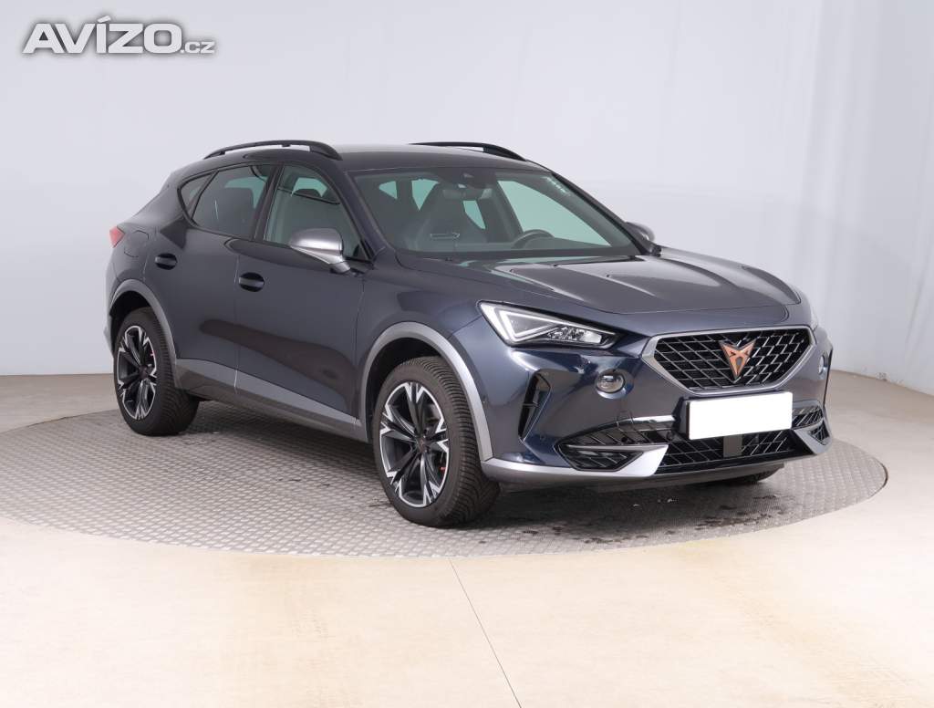 Cupra Formentor 2.0 TSI 4Drive