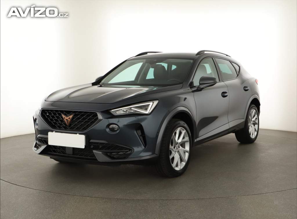 Foto inzerátu Cupra Formentor 2.0 TDI