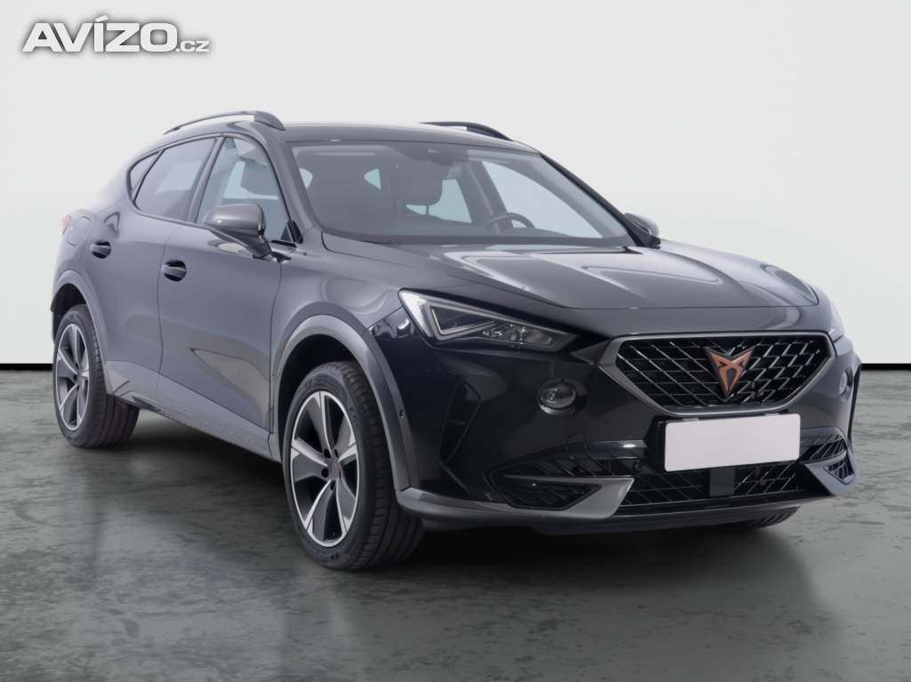 Cupra Formentor 2.0 TSI 4Drive