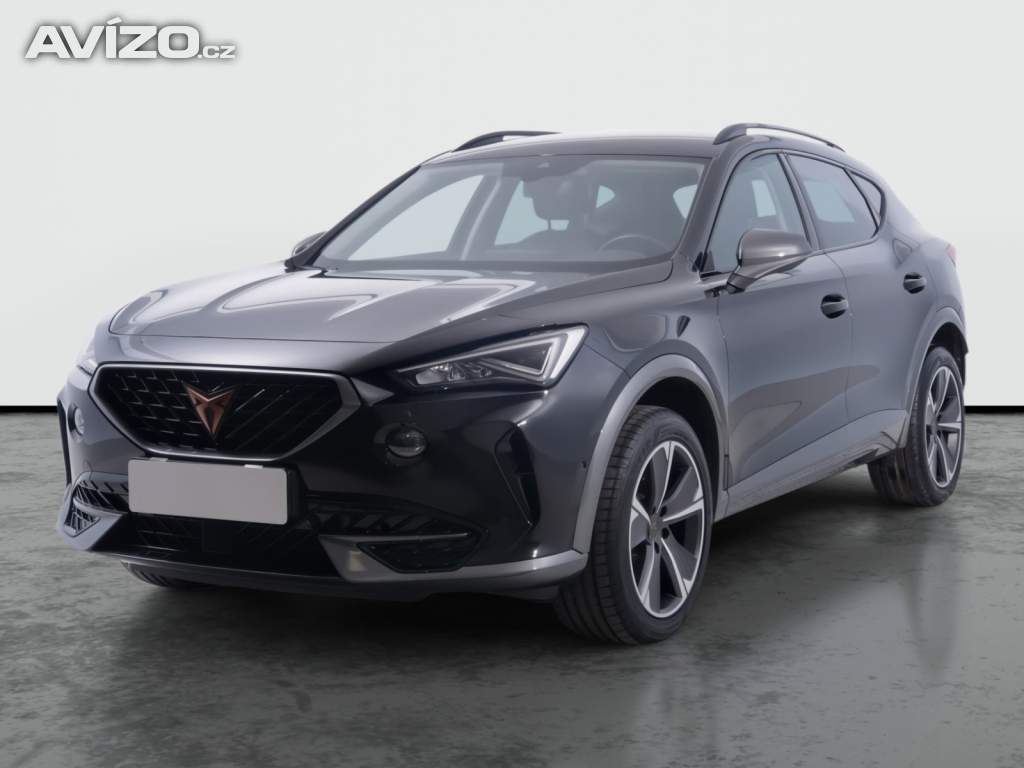 Foto inzerátu Cupra Formentor 2.0 TSI 4Drive