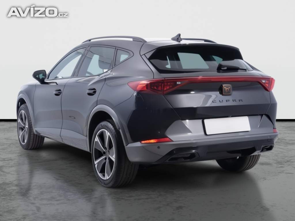 Foto inzerátu Cupra Formentor 2.0 TSI 4Drive