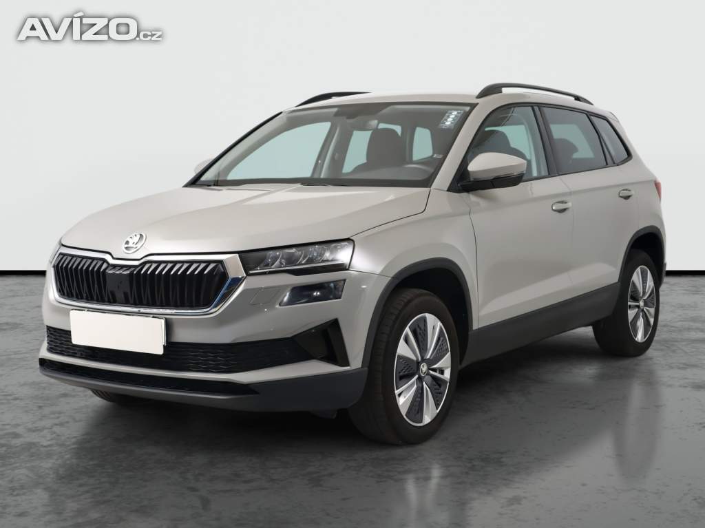 Foto inzerátu Skoda Karoq 2.0 TDI