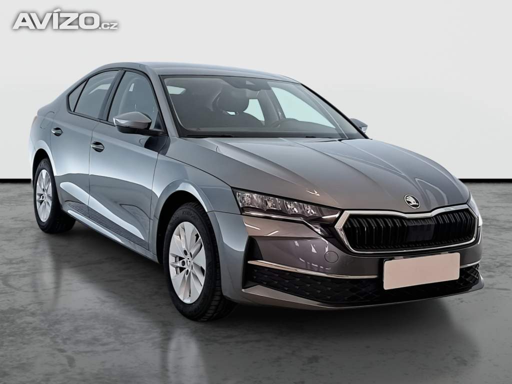 Foto inzerátu Skoda Octavia 2.0 TDI