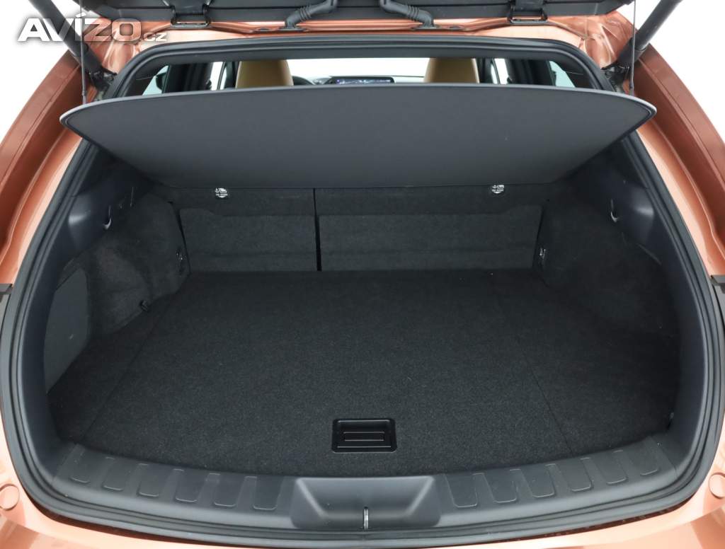 Foto inzerátu Lexus UX 300h