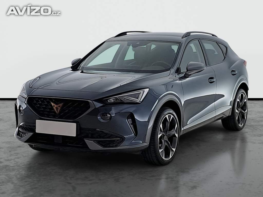 Foto inzerátu Cupra Formentor 2.0 TSI 4Drive