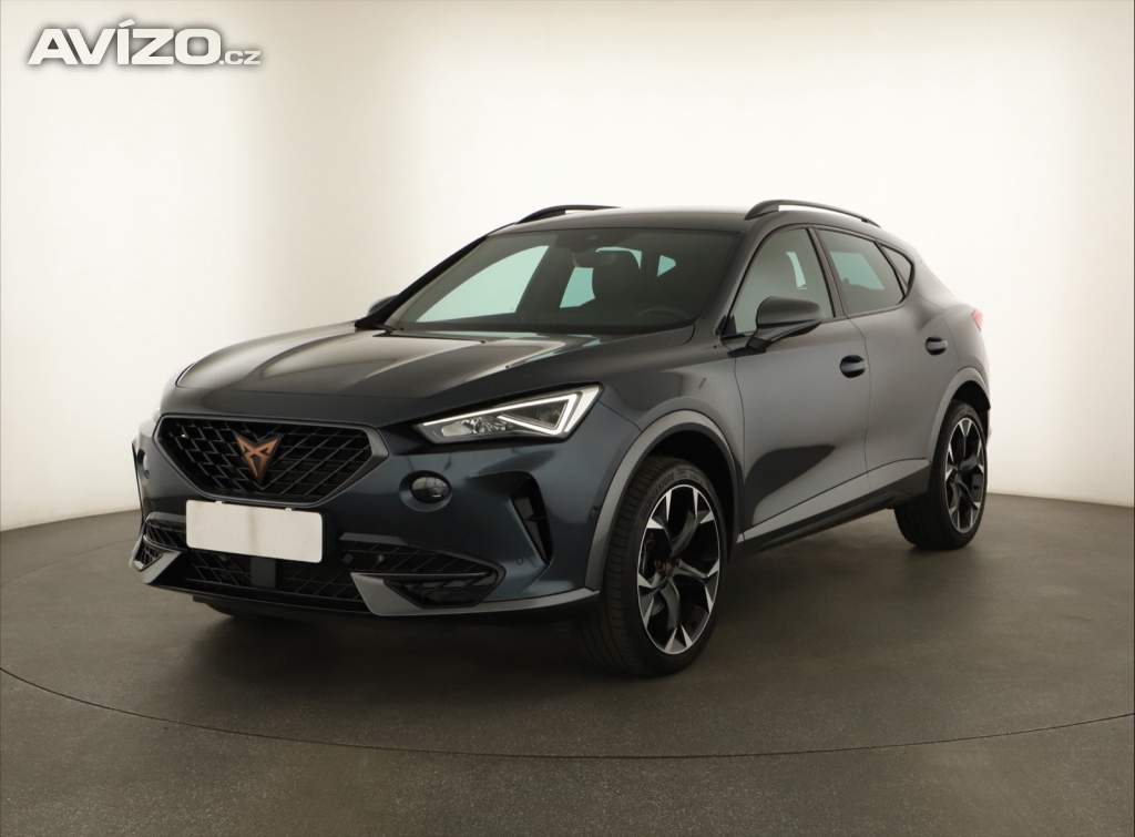 Foto inzerátu Cupra Formentor 2.0 TSI 4Drive