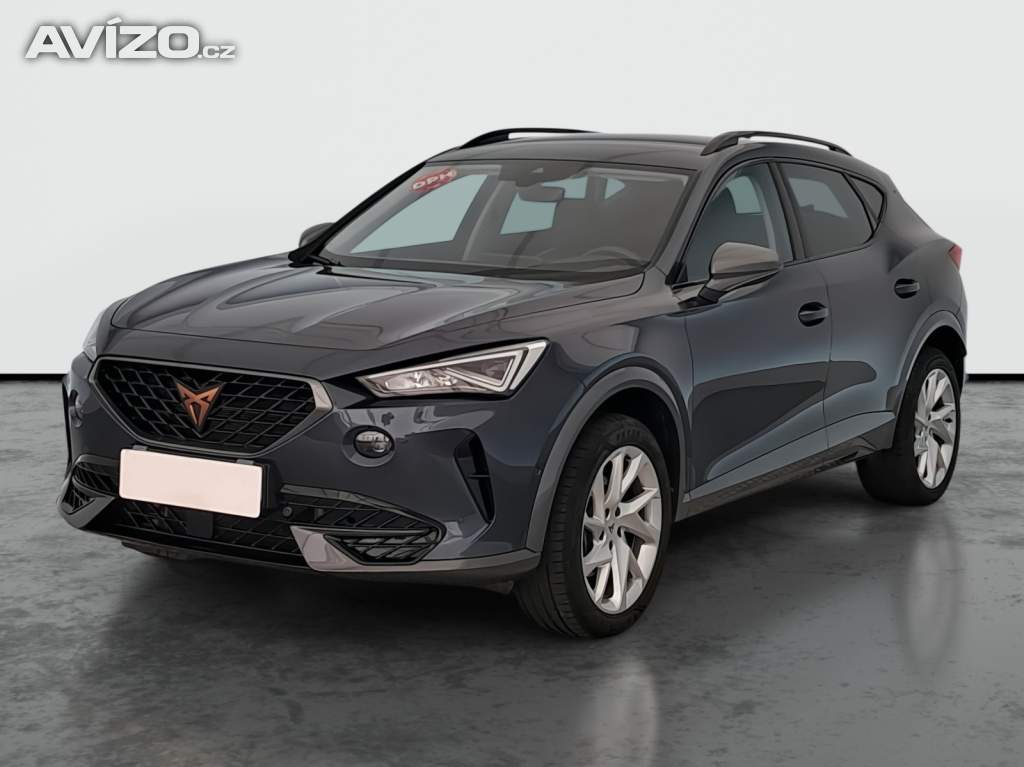 Foto inzerátu Cupra Formentor 2.0 TSI 4Drive