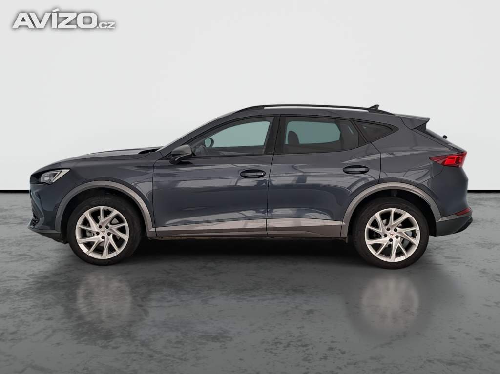 Foto inzerátu Cupra Formentor 2.0 TSI 4Drive