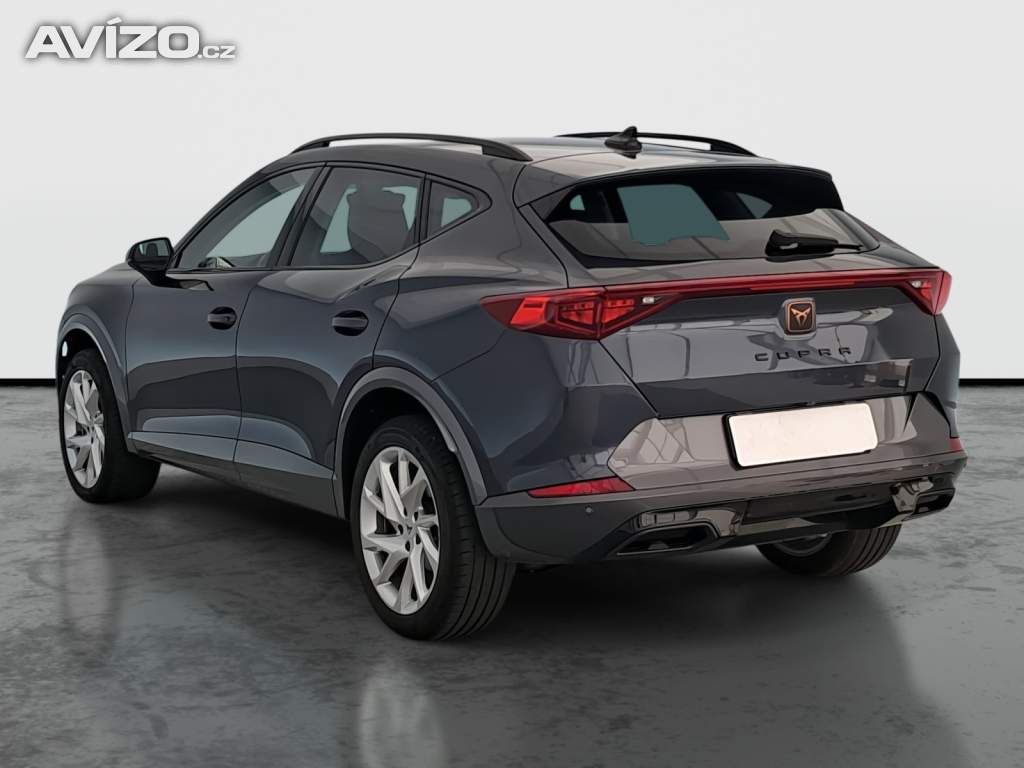 Foto inzerátu Cupra Formentor 2.0 TSI 4Drive