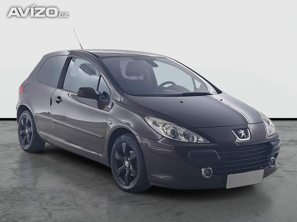 Peugeot 307 1.6 16V