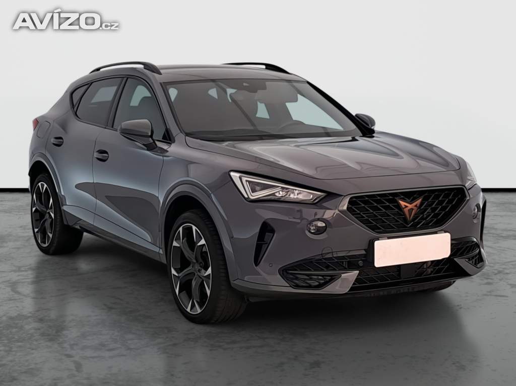 Cupra Formentor 2.0 TSI 4Drive