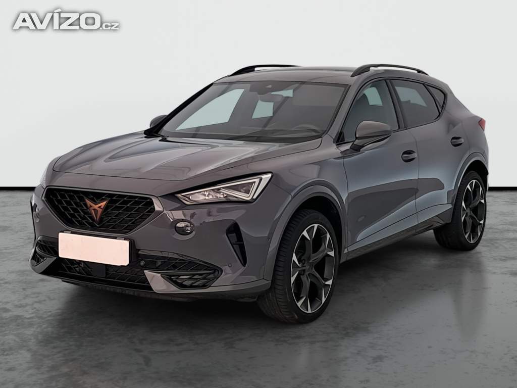 Foto inzerátu Cupra Formentor 2.0 TSI 4Drive