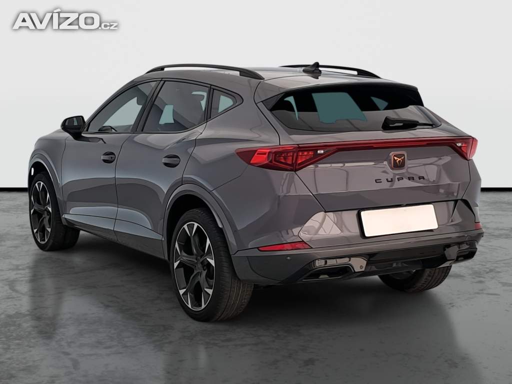 Foto inzerátu Cupra Formentor 2.0 TSI 4Drive