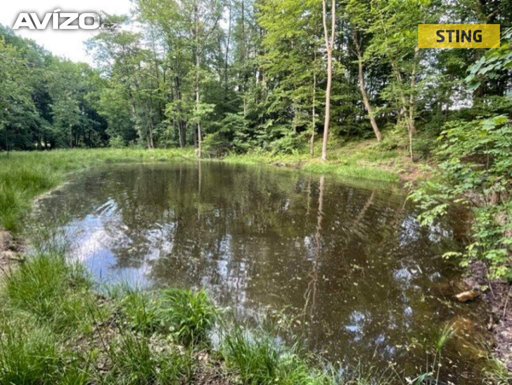 Prodej, Pozemky zemědělské a lesní, 20029 m2