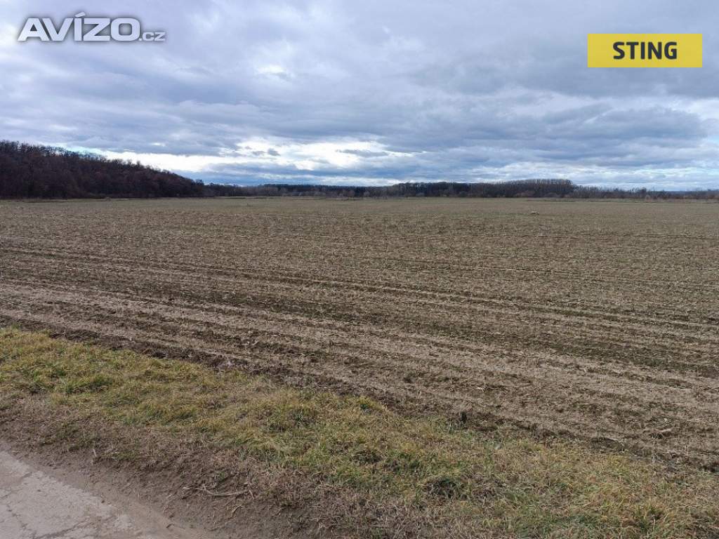 Prodej, Pozemky zemědělské a lesní, 1399 m2