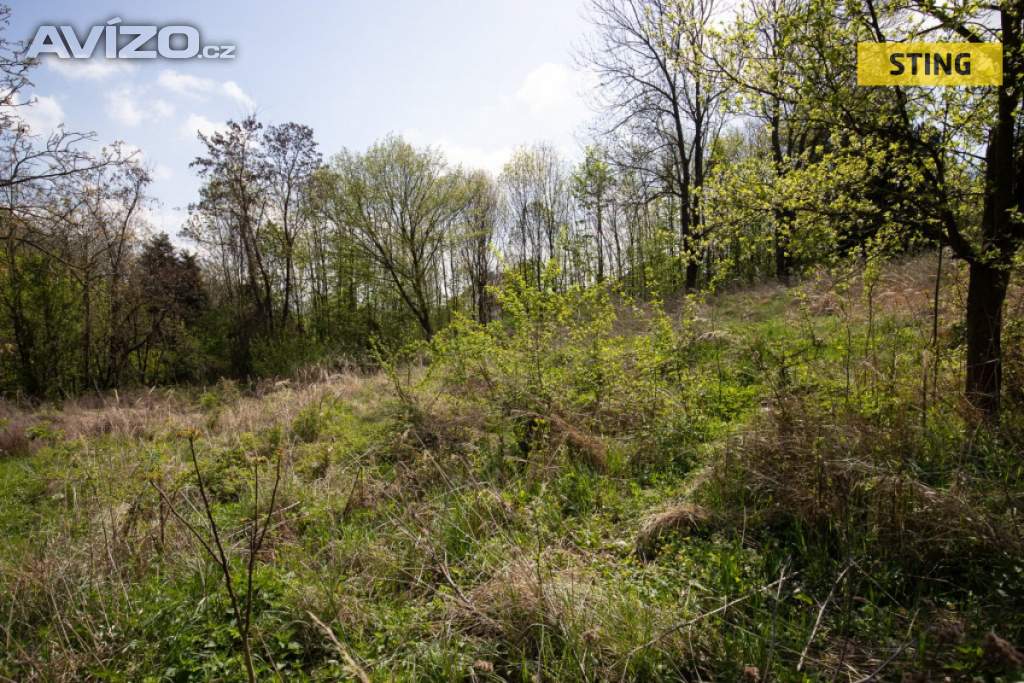 Prodej, Pozemky pro bydlení, 1583 m2