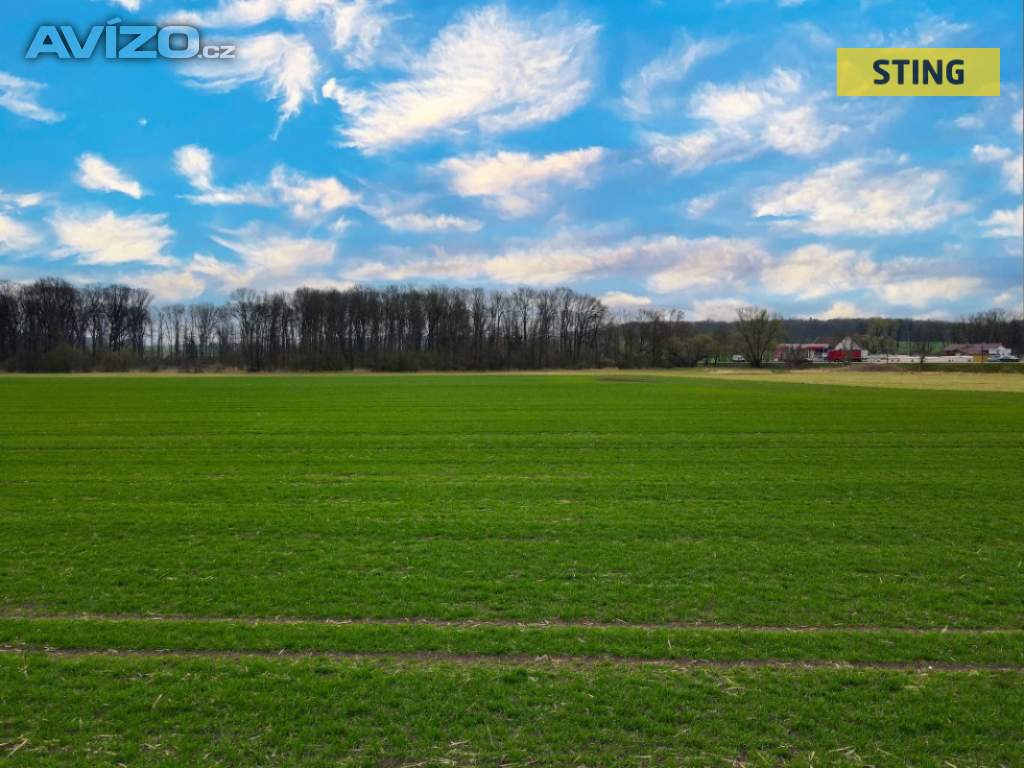Prodej, Pozemky zemědělské a lesní, 6038 m2