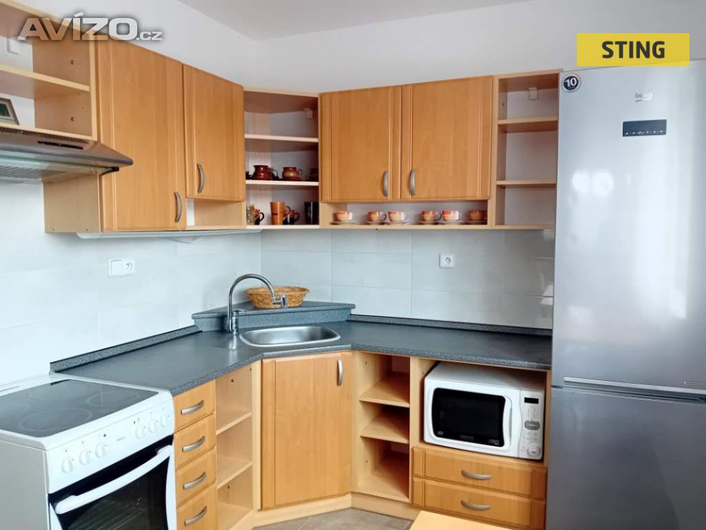 Pronájem, byt 1+1, 41 m2