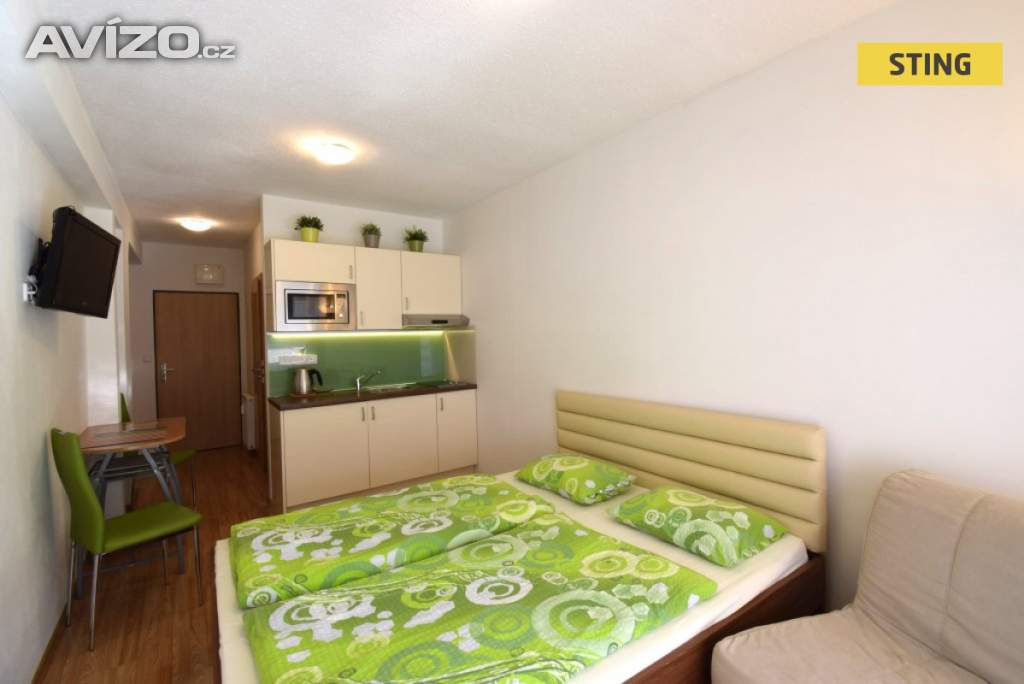 Pronájem, byt 1+kk, 24 m2